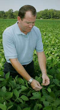 beanfield