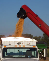 combine pouring